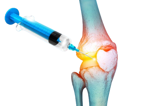 knee joint